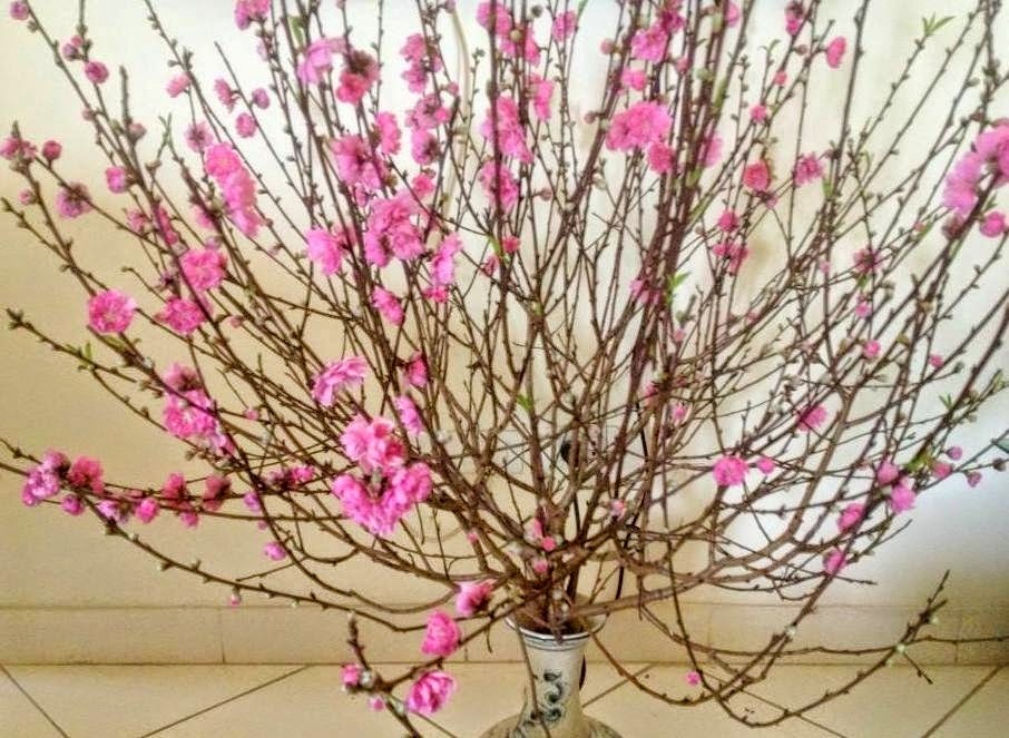 Mẹo chọn lọ hoa mách nhỏ bạn những cách chọn lọ hoa phù hợp nhất.