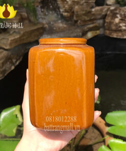 Lu uống nước đa công dụng