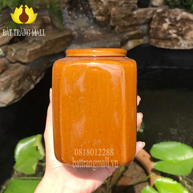 Lu uống nước đa công dụng