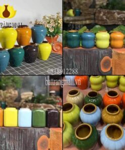 Lu uống nước đa công dụng